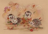 hedgehogs playing in the leaves